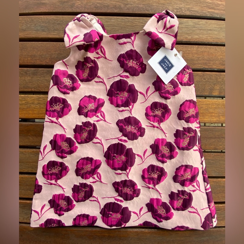 Janie and Jack girls special occasion dress 6-12 mos NWT